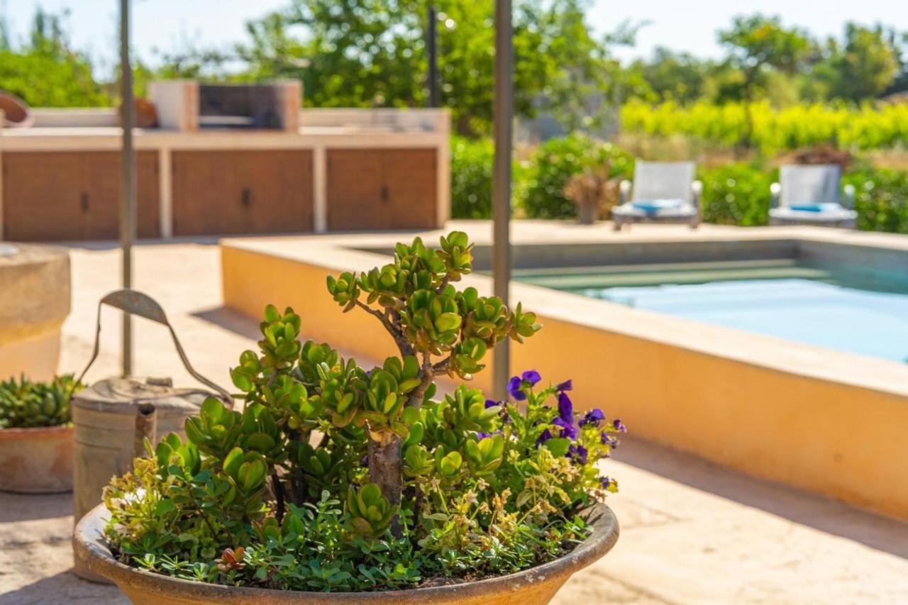 Finca Campestre Es Verger Blue Binissalem Exterior foto